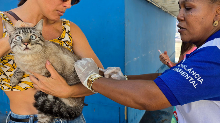 Campanha de vacinação antirrábica em Macaé atende localidades da região serrana com serviço gratuito. Saiba datas, orientações e importância da imunização.