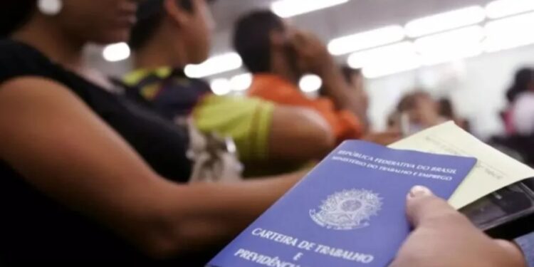 Estado do Rio de Janeiro cria política pública para fortalecer a presença das mulheres no mercado de trabalho e ampliar oportunidades de crescimento profissional.