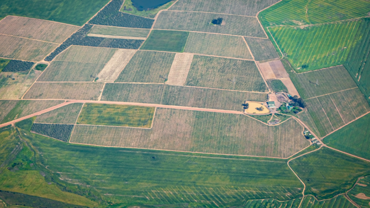 Reforma agrária avança no Norte e Noroeste Fluminense com desapropriação de fazendas e regularização fundiária para centenas de famílias.