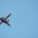 Alemanha alerta para possíveis cancelamentos de voos no verão europeu devido à alta do combustível de aviação e impactos da crise no Oriente Médio.
