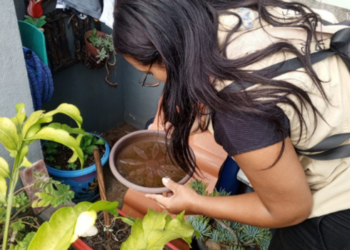 Mutirão de combate ao Aedes aegypti vistoria mais de 8 mil imóveis, elimina 219 focos do mosquito e recolhe centenas de pneus e materiais inservíveis.
