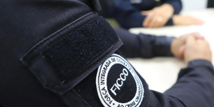 Ações coordenadas entre Polícia Federal e forças estaduais combateram o tráfico de drogas e prenderam suspeitos ligados ao crime organizado em diversas regiões do Brasil.