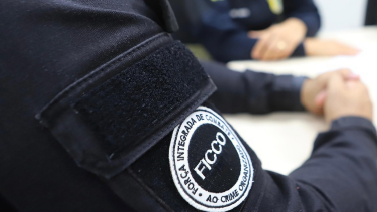 Ações coordenadas entre Polícia Federal e forças estaduais combateram o tráfico de drogas e prenderam suspeitos ligados ao crime organizado em diversas regiões do Brasil.
