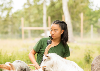 Pesquisadores da China conseguem clonar seis cabras leiteiras de alta produtividade em avanço inédito da biotecnologia agrícola.