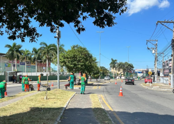 Campos realiza mutirões de limpeza urbana e arborização em grandes avenidas com foco em sustentabilidade e qualidade de vida.