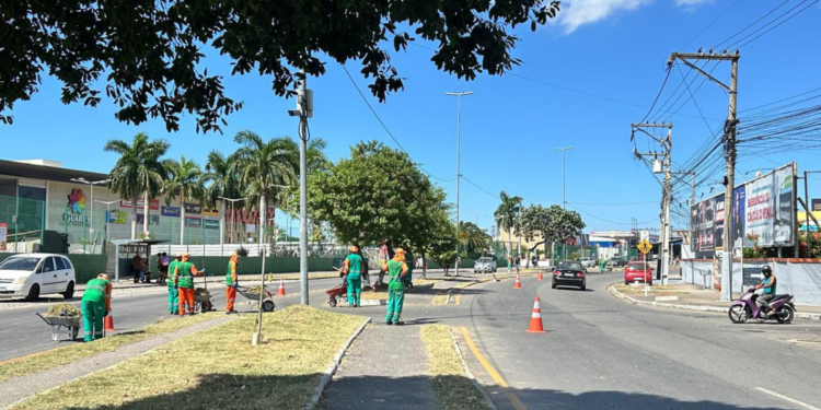 Campos realiza mutirões de limpeza urbana e arborização em grandes avenidas com foco em sustentabilidade e qualidade de vida.