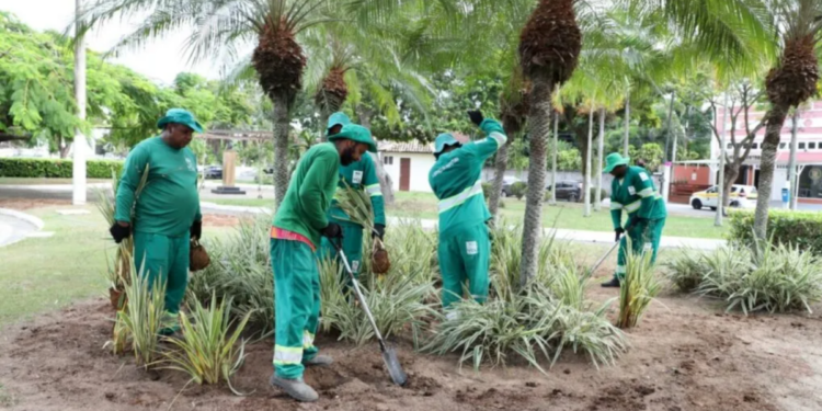 Quissamã realiza ações de paisagismo na Praça Brigadeiro José Caetano e outros pontos da cidade, com plantio e revitalização de áreas verdes.