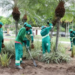 Quissamã realiza ações de paisagismo na Praça Brigadeiro José Caetano e outros pontos da cidade, com plantio e revitalização de áreas verdes.