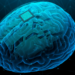 Empresas chinesas aceleram pesquisas com implantes cerebrais integrados à inteligência artificial e já realizam testes clínicos em humanos.