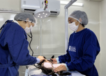 Rio das Ostras lançou o Projeto Bem-Estar Animal Sobre Rodas, com serviços gratuitos de castração, vacinação e atendimento veterinário itinerante.