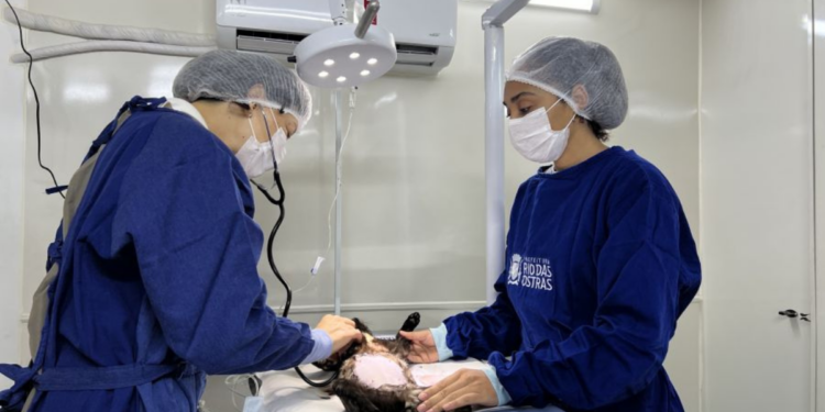 Rio das Ostras lançou o Projeto Bem-Estar Animal Sobre Rodas, com serviços gratuitos de castração, vacinação e atendimento veterinário itinerante.