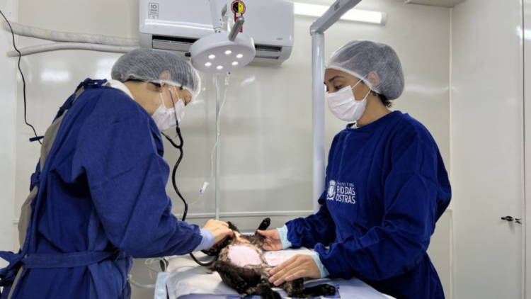 Rio das Ostras lançou o Projeto Bem-Estar Animal Sobre Rodas, com serviços gratuitos de castração, vacinação e atendimento veterinário itinerante.