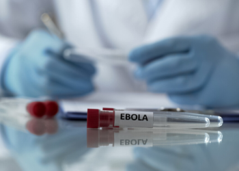 Argentina registra aumento preocupante de casos de hantavírus em 2026, com 45 confirmações e 33 mortes, segundo boletim epidemiológico oficial.