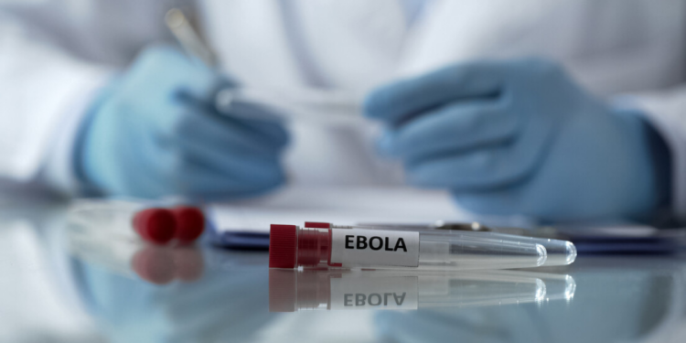 Argentina registra aumento preocupante de casos de hantavírus em 2026, com 45 confirmações e 33 mortes, segundo boletim epidemiológico oficial.