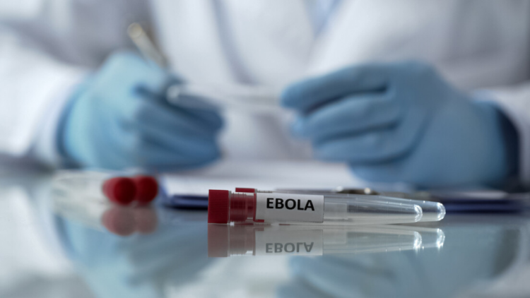 Argentina registra aumento preocupante de casos de hantavírus em 2026, com 45 confirmações e 33 mortes, segundo boletim epidemiológico oficial.