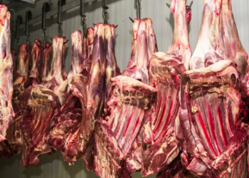 Medida temporária atinge unidades da JBS, PrimaFoods e Frialto enquanto empresas investigam problemas sanitários apontados pelo país asiático