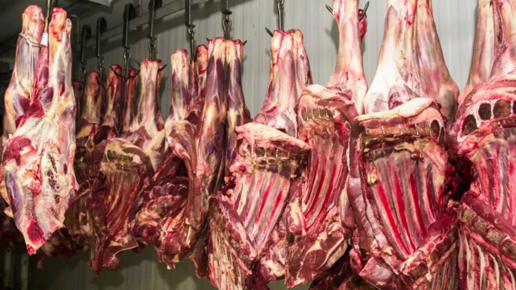 Medida temporária atinge unidades da JBS, PrimaFoods e Frialto enquanto empresas investigam problemas sanitários apontados pelo país asiático
