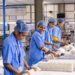 PEC da jornada de trabalho prevê implantação gradual da semana de 40 horas no Brasil.