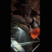 Equipes internacionais atuam no resgate de cinco pessoas presas em caverna inundada no Laos.