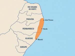 Temperaturas podem cair entre 3°C e 5°C a partir desta quinta-feira