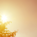 Brasil terá terça-feira de contrastes entre frio no Sul, calor no Centro-Oeste e chuva em diferentes regiões.
