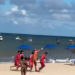 Criança é ferida em incidente com tubarão e passa por cirurgia. Autoridades reforçam orientações de segurança para frequentadores das praias.