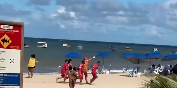 Criança é ferida em incidente com tubarão e passa por cirurgia. Autoridades reforçam orientações de segurança para frequentadores das praias.