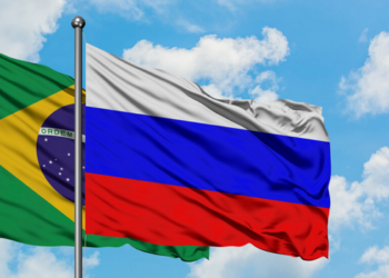Representantes brasileiros e russos discutem cooperação para combater crimes internacionais e ambientais durante encontro em Viena.