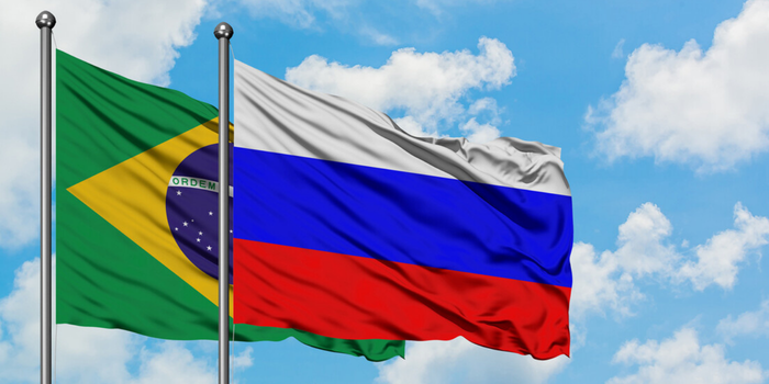 Representantes brasileiros e russos discutem cooperação para combater crimes internacionais e ambientais durante encontro em Viena.
