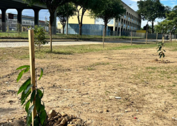 Prefeitura de Campos cria o Pomar do Esplanada com plantio de árvores frutíferas e espécies nativas. Projeto amplia áreas verdes e reforça ações da Semana Nacional do Meio Ambiente.