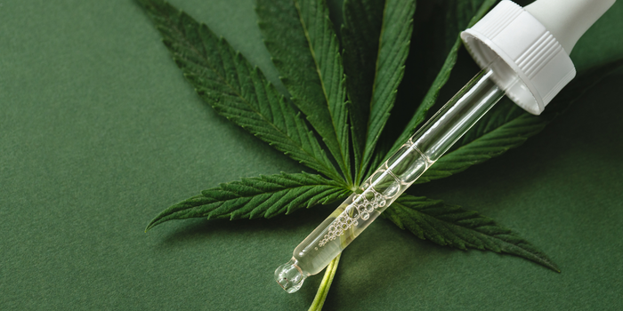 Pesquisa Blis Data 2026 aponta que a musculação é a principal atividade física entre pacientes que usam produtos à base de cannabis importados.