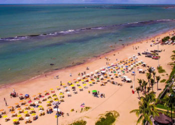 Novos ataques de tubarão no litoral do Recife reacendem debate sobre fatores ambientais, mudanças costeiras e segurança de banhistas em Pernambuco.