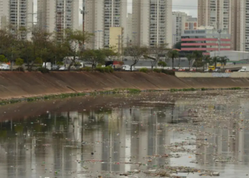 Levantamento da SOS Mata Atlântica mostra que o rio Tietê apresenta poluição em toda sua extensão, com presença de microplásticos, agrotóxicos, metais pesados e resíduos farmacológicos.