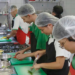 Taxa de desemprego no Brasil cai para 5,6%, menor nível da série do IBGE para o período. Ocupação cresce e renda média fica em R$ 3.726.