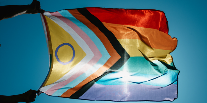 Em Seattle, comunidade LGBTQIPN+ transforma jogo entre Egito e Irã em “Jogo do Orgulho” para destacar direitos humanos e visibilidade durante a Copa do Mundo.