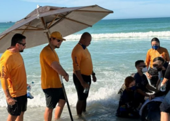 Cachalote-mirim é resgatado após três encalhes na Praia do Forte, em Cabo Frio.