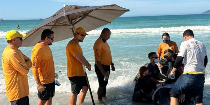 Cachalote-mirim é resgatado após três encalhes na Praia do Forte, em Cabo Frio.