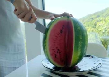 Meta descrição: Rica em água, licopeno, vitaminas e aminoácidos, a melancia pode auxiliar na hidratação, na circulação e no equilíbrio da pressão e da glicose.