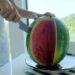 Meta descrição: Rica em água, licopeno, vitaminas e aminoácidos, a melancia pode auxiliar na hidratação, na circulação e no equilíbrio da pressão e da glicose.