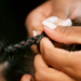 Macaé realiza oficina gratuita de tranças para celebrar a identidade, a cultura e o protagonismo das mulheres negras.