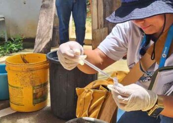 Vigilância Ambiental de Macaé intensifica ações contra dengue, raiva e outras zoonoses em bairros do município; veja os locais.
