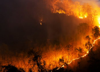 Fenômenos climáticos extremos causam mortes, destruição e deslocamentos na China, Índia, Bangladesh e países do sul da Europa, com enchentes e incêndios.