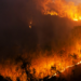 Fenômenos climáticos extremos causam mortes, destruição e deslocamentos na China, Índia, Bangladesh e países do sul da Europa, com enchentes e incêndios.