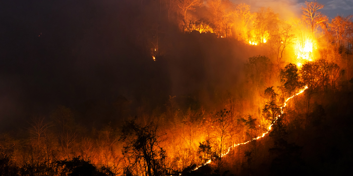 Fenômenos climáticos extremos causam mortes, destruição e deslocamentos na China, Índia, Bangladesh e países do sul da Europa, com enchentes e incêndios.