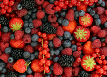Frutas vermelhas são ricas em antioxidantes, vitamina C e compostos bioativos que fortalecem a imunidade, protegem o coração, favorecem o cérebro e ajudam na prevenção de doenças.