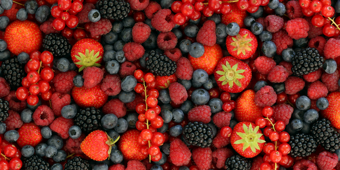 Frutas vermelhas são ricas em antioxidantes, vitamina C e compostos bioativos que fortalecem a imunidade, protegem o coração, favorecem o cérebro e ajudam na prevenção de doenças.