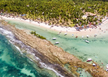 Pesquisa da UFPE revela que a poluição sonora causada por embarcações e turismo interfere na comunicação dos peixes e pode ameaçar o equilíbrio dos recifes de corais.