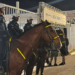 Cavalaria da Guarda Municipal reforça o esquema de segurança da Expo Macaé 2026 com patrulhamento montado, prevenção de ocorrências e apoio aos visitantes.