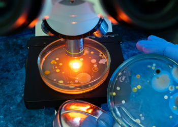Estudo da Universidade Skoltech apresenta ferramenta que acelera a descoberta de novos antibióticos contra bactérias resistentes, um dos maiores desafios da saúde global.