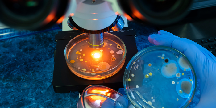 Estudo da Universidade Skoltech apresenta ferramenta que acelera a descoberta de novos antibióticos contra bactérias resistentes, um dos maiores desafios da saúde global.